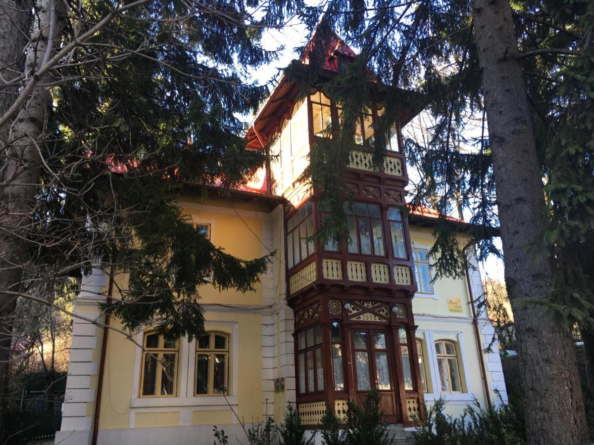 Vila Flavia Синая Экстерьер фото