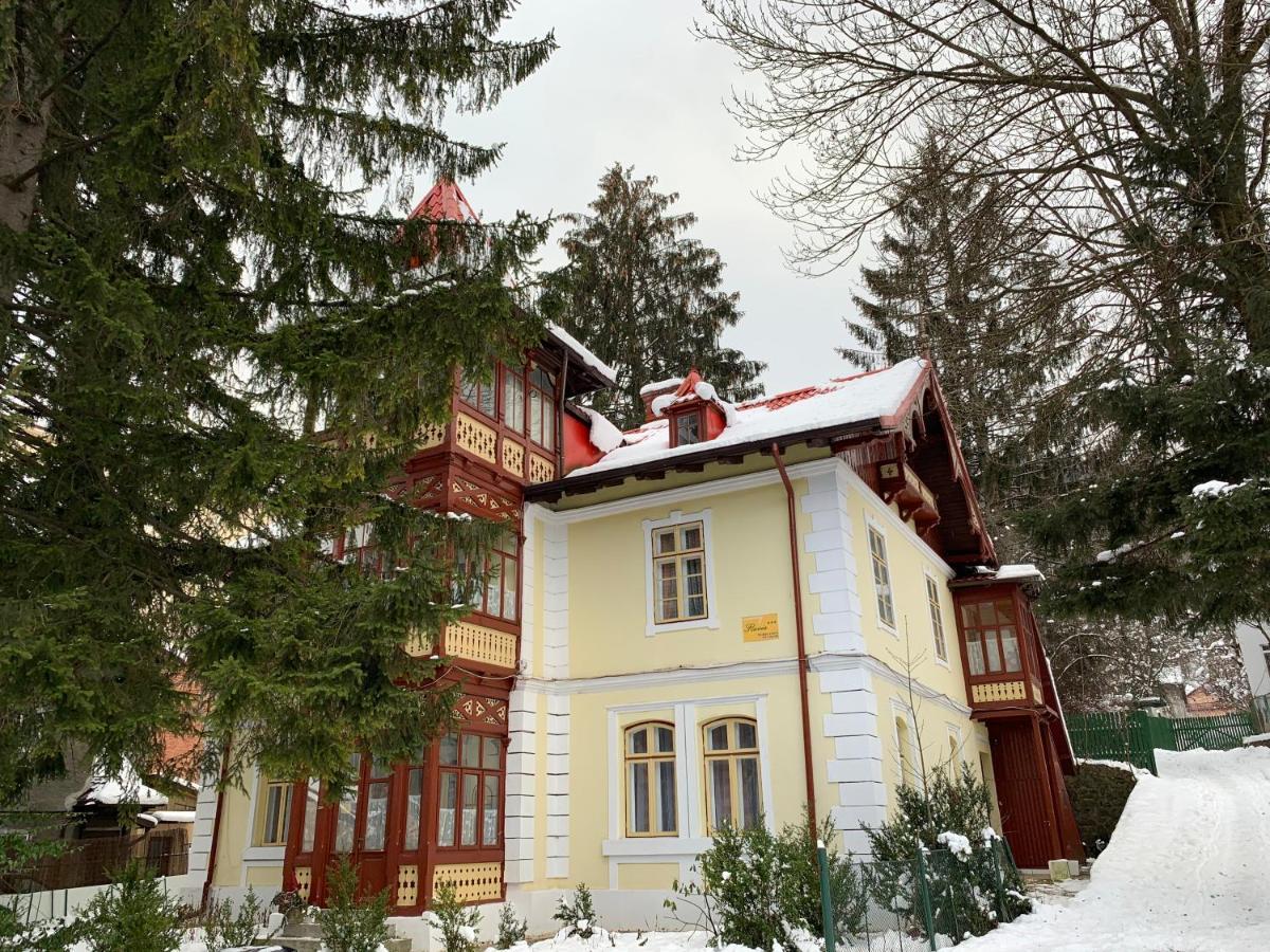 Vila Flavia Синая Экстерьер фото